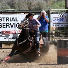 Image result for Kings Ranch Riding School/Club