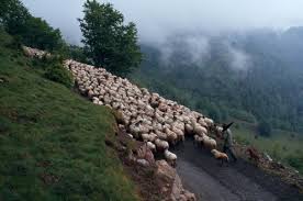 「ネスティ・バスク」の画像検索結果