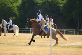 Image result for Taunton Vale Polo Club