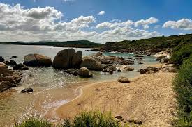 Image result for capo d'orso