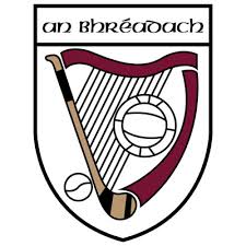 Image result for Rostrevor Hurling Club