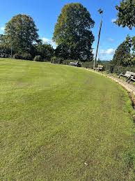Image result for Ellesmere Bowling Club