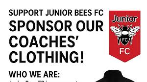 Image result for Brendon Bees Junior Football Club