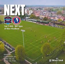 Image result for Dorking Football Club Limited