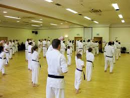 Image result for GoJu-Kai Karate Club