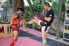 Image result for Woking Thai Boxing Club