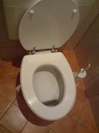 Image result for german toilet