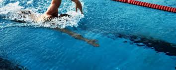 Image result for Yeovil and District Swimming Club