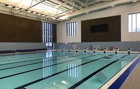 Image result for Coventry Swimming Club