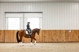 Image result for Fisher Equestrian