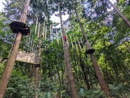 Image result for Go Ape! Grizedale
