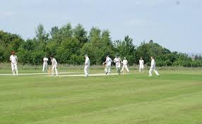 Image result for Tadworth Cricket Club