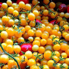Afbeeldingsresultaat voor broad ripple yellow currant tomato
