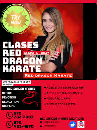 Image result for Red Dragon Taekwondo club