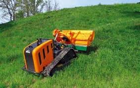 Image result for roboflail tehron