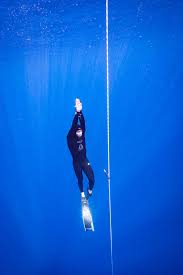 Image result for Blue Water Freediving School
