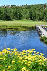 Image result for Sudbury Gc