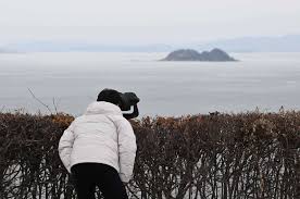 Resultado de imagen para Yeonpyeong