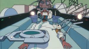 Image result for roujin z