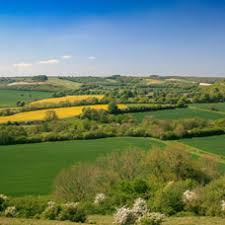 Image result for North Dorset