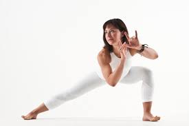 Image result for Balance Yoga Earth