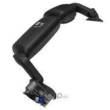 Картинки по запросу белку зажевало в диск