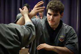 Image result for Shaolin Nam Pai Chuan Kung Fu - Manchester Martial Arts Centre