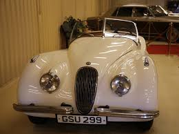 Image result for Tudor White 1981 Jaguar
