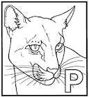Panther coloring page