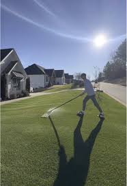 Image result for Justice Mowers Club