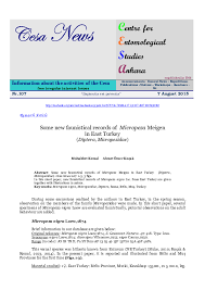 Attēlu rezultāti vaicājumam “Alloeotomus sp.”