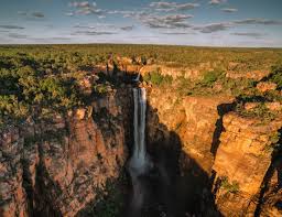 Billedresultat for kakadu n...