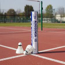 Image result for Feathers (New Milton) Badminton Club