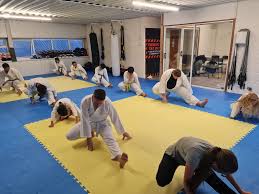 Image result for Plymouth Karate Club Kyokai