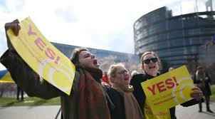 Image result for Amelia Andersdotter