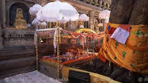 Image result for DIAMOND 貝谷