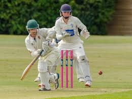 Image result for Worcester Nomads Cricket Club