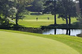 Image result for Chelmsford Gc