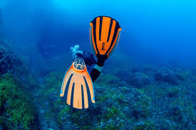 Image result for Darwen Snorkelling Club