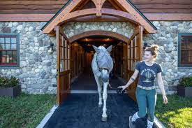 Image result for Ecurie Barnton