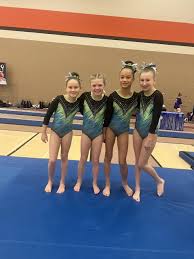 Image result for Blandford Forum Gymnastics & Kanga Club