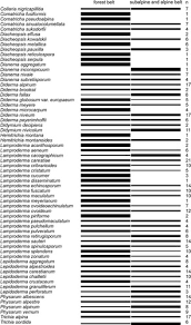 Attēlu rezultāti vaicājumam “Dianema nivale”