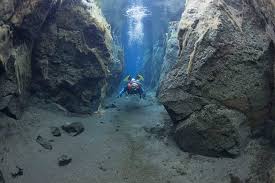 Image result for Meadurst Sub-Aqua Club