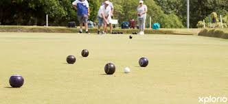 Image result for Castell Alun Bowling Club