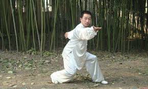Image result for Southgate T`ai Tsung Chinese Boxing