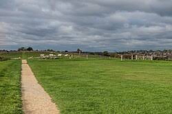 Image result for South London Harriers