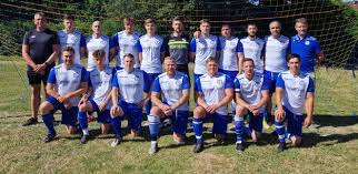 Image result for Ashford Tanners Handball Club