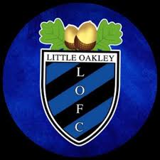 Image result for Ockley Acorns Junior F C