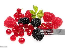 Image result for Rubus sectio