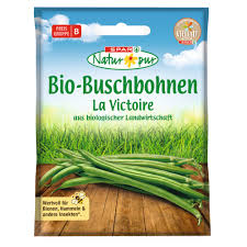 Image result for Buschbohnen